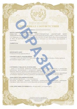 Образец Сертификат СТО 01.064.00220722.2-2020 Пенза Сертификат СТО 01.064.00220722.2-2020 